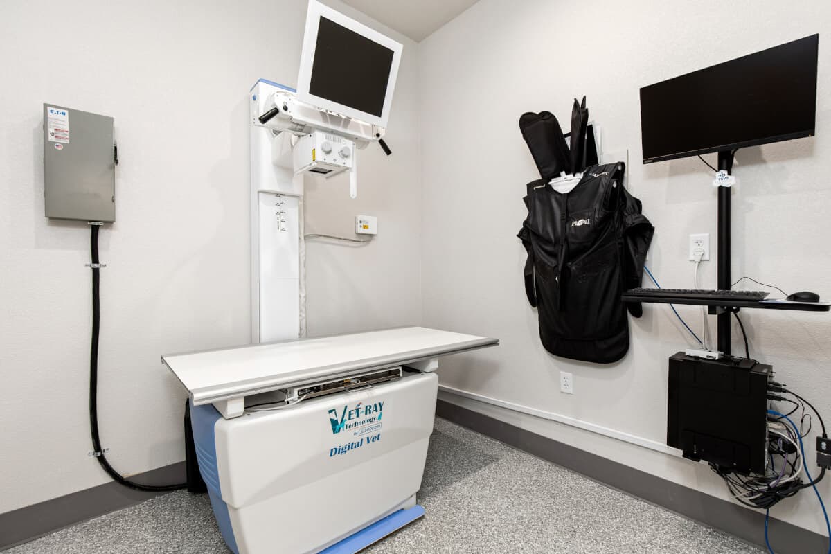 A digital X-ray A digital X-ray
