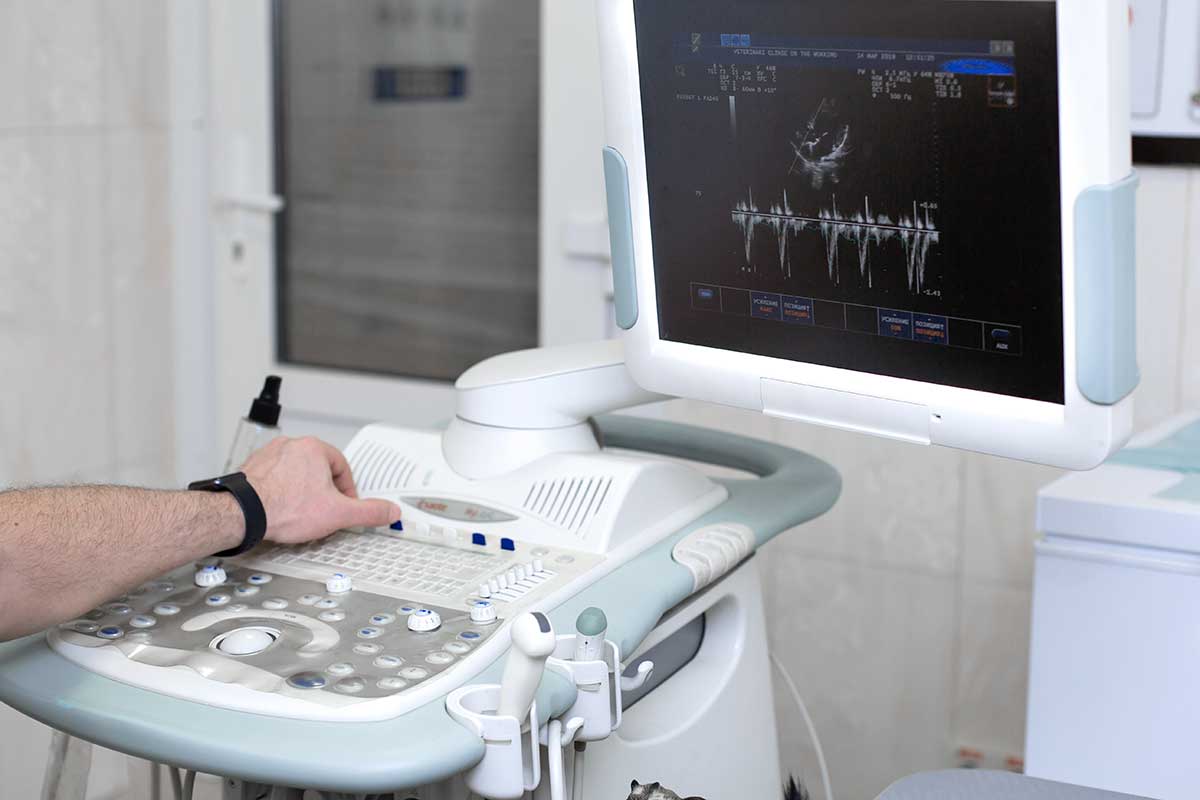 An ultrasound machine An ultrasound machine